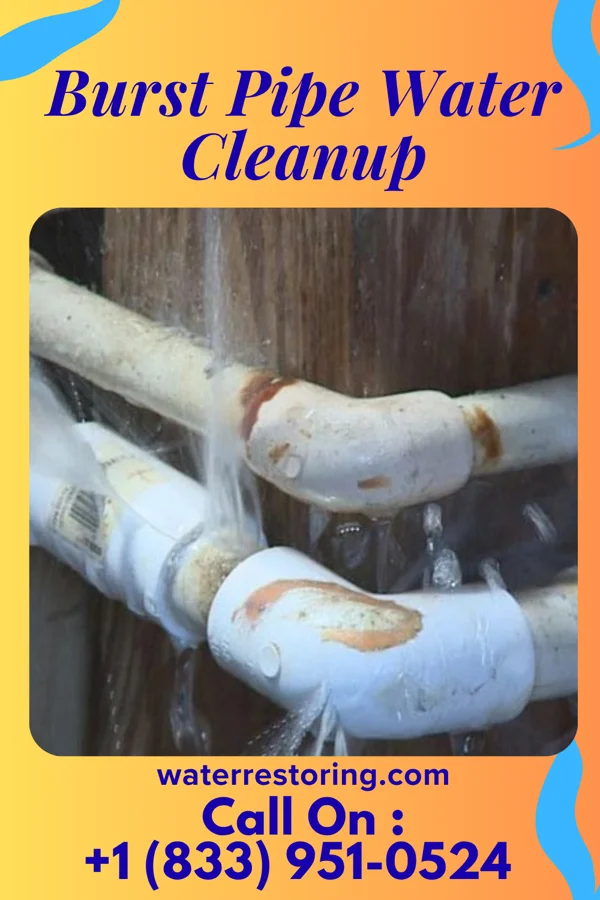 Burst Pipe Water Cleanup in Alto, WI