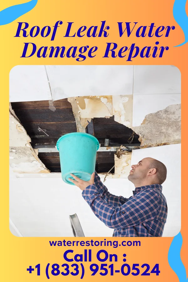 Roof Leak Water Damage Repair in Alto, WI